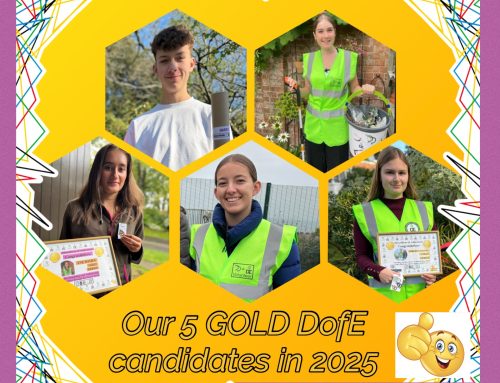 Our ‘Gold’ Winners